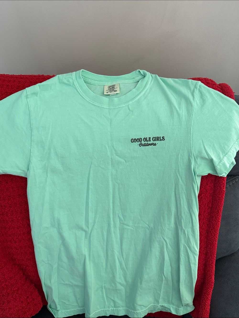 Comfort Colors Mint Green Short Sleeve Tee with Small Chest Logo - Women